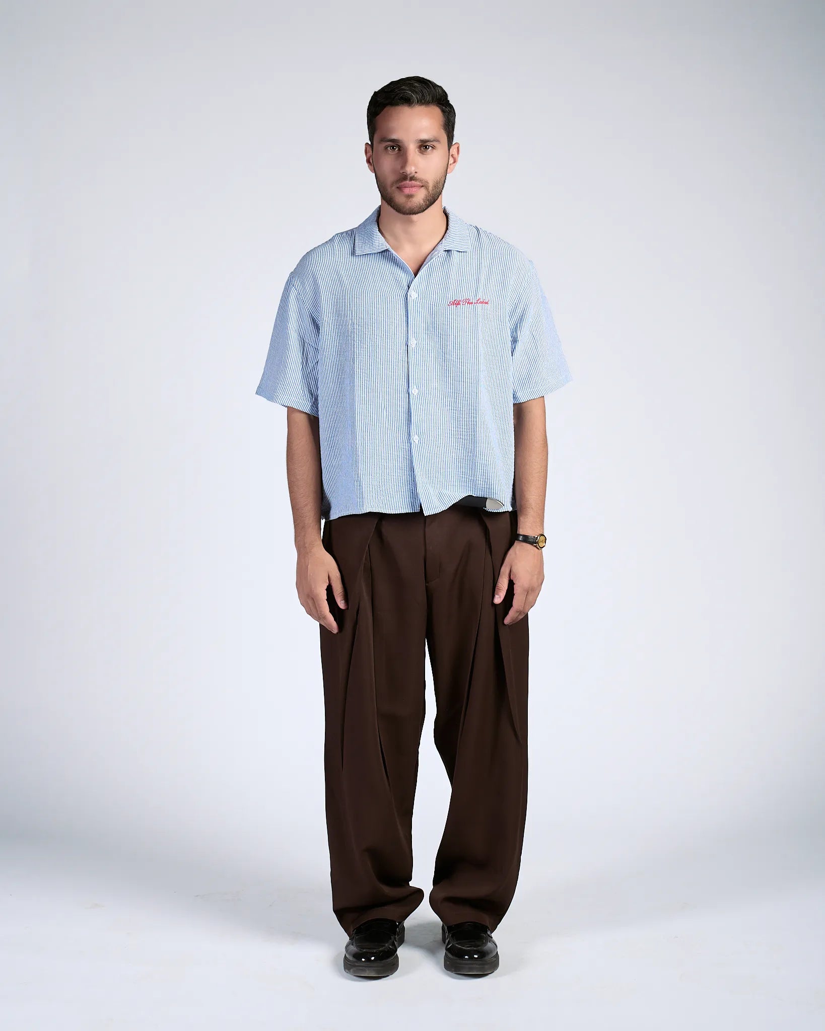 Brown Pleated Trousers