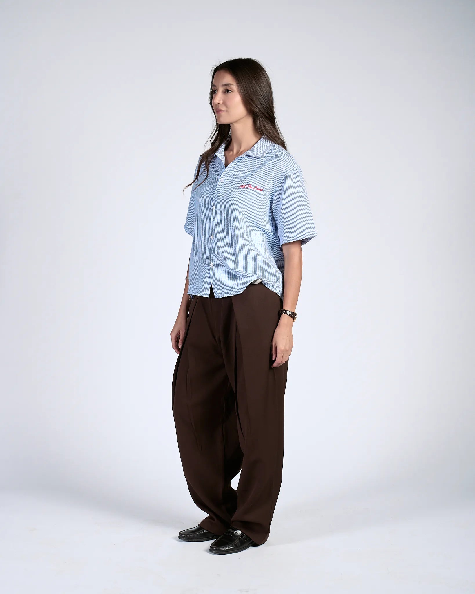 Brown Pleated Trousers